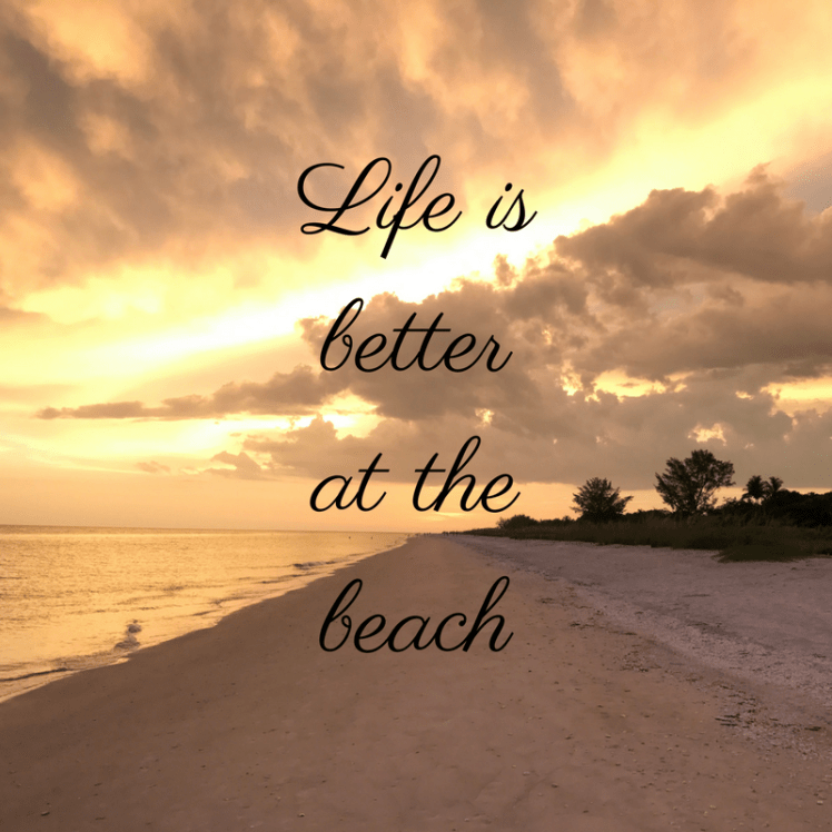 Life is better at the beach